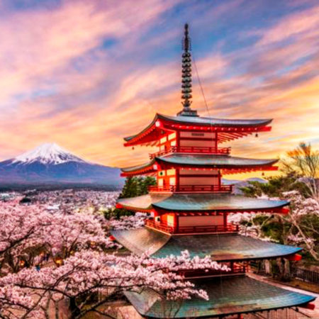 Medical Tourism in Japan- Medibliss Tours