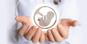 Obstetrics and Gynecology-Medibliss Tours